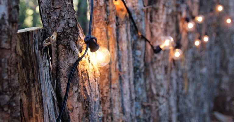 5 Benefits of Lighting Up Your Landscape