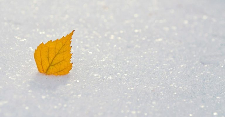 Winter Storms Power Generators